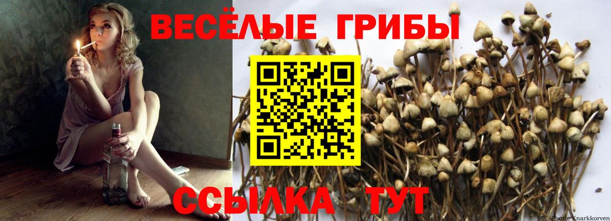 Псилоцибиновые грибы прущие грибы Добрянка